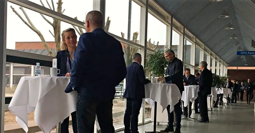 Velly_image-1-1.jpg (5)