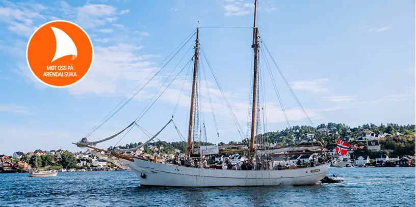 Arend_solrik.jpg (8)