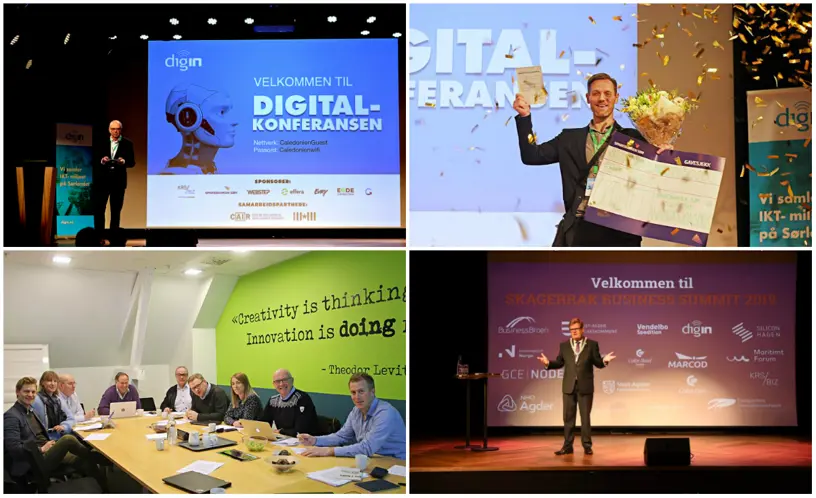 Digin_collage2.jpg (5)