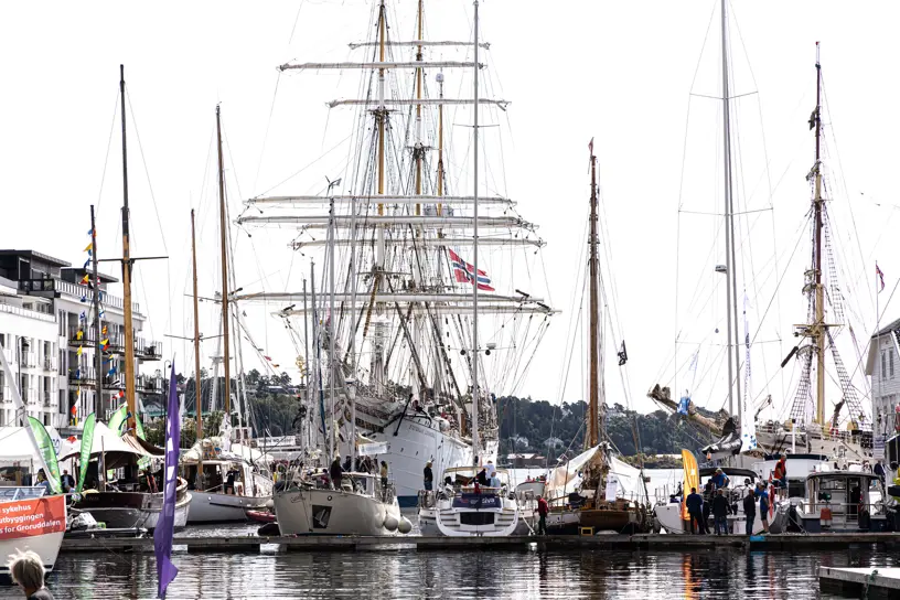 Arend_51383293899_9d6234a7d3_k.jpg (5)